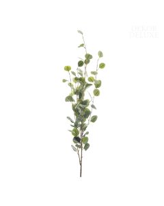 Dekor Deluxe - Umetne rože velika evkaliptusova veja zelene barve, z zaokroženimi listi, razčlenjena v tanjša stebla.