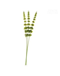 Umetne rože, šopek treh molucel zelene barve na podolgovatem steblu.