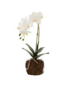 Dekor Deluxe umetna roža orhideja z belimi cvetovi in zunanjimi koreninami iz tekstila in umetne mase.