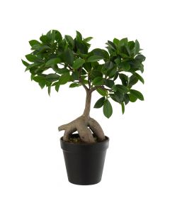 Dekor Deluxe umetna rastlina fikus ginseng, drevo bonsai z zelenimi listi in rjavim deblom, ki spominja na drevo.