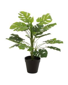 Dekor Deluxe umetna rastlina filodendron z velikimi zelenimi luknjastimi listi v črnem cvetličnem lončku.