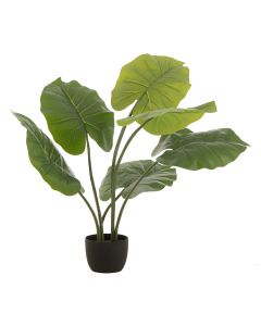 Dekor Deluxe umetna rastlina taro z velikimi ploščatimi listi zelene barve v črnem lončku iz umetne mase.