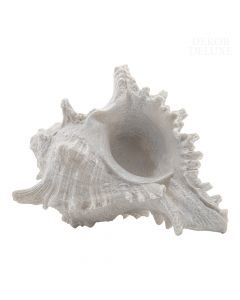 Dekor Deluxe bela replika morske školjke, visoka 11 cm in široka 19 cm, z veliko podrobnosti, zaradi katerih izgleda kot prava.
