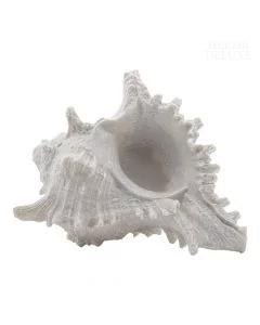 Dekor Deluxe bela replika morske školjke, visoka 11 cm in široka 19 cm, z veliko podrobnosti, zaradi katerih izgleda kot prava.
