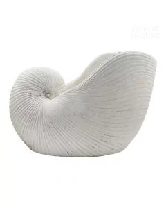 MUSELIA školjka bela V23 cm