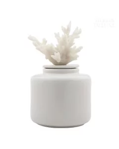 Dekor Deluxe porcelanasto bela keramična okrasna posoda s pokrovom valjaste oblike z repliko bele morske korale na vrhu pokrova.
