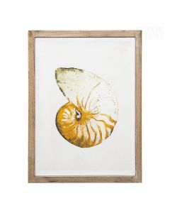 Dekor Deluxe set dveh slik s motivom morske školjke in morskega polža, peščeno rjavih na belem ozadju, dimenzij 30 x 40 cm.