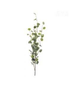 Dekor Deluxe - Umetne rože velika evkaliptusova veja zelene barve, z zaokroženimi listi, razčlenjena v tanjša stebla.