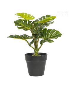 Dekor Deluxe Umetne rastline monstera višine 30 cm iz umetne mase z zelenimi listi v črnem lončku.
